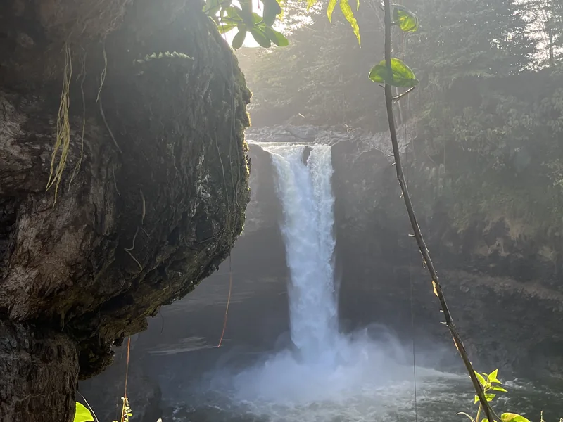 Rainbow Falls dropping into its pool, seen from the shaded overlook in morning light